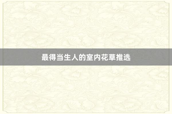 最得当生人的室内花草推选