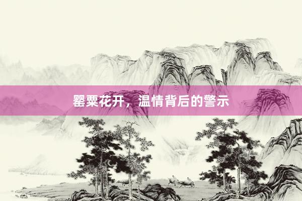 罂粟花开,温情背后的警示