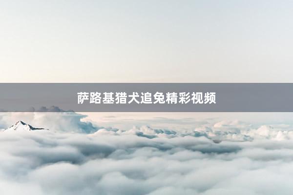 萨路基猎犬追兔精彩视频